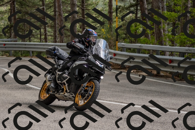 202506011526-DSC_6713_c4_