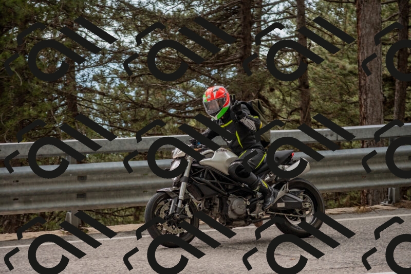 202506011527-DSC_6722_c4_