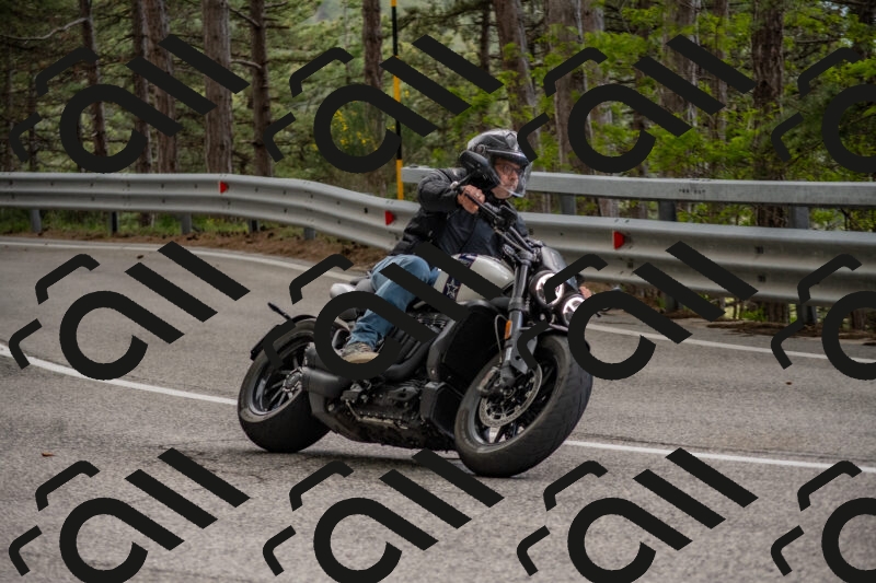 202506011528-DSC_6731_c4_