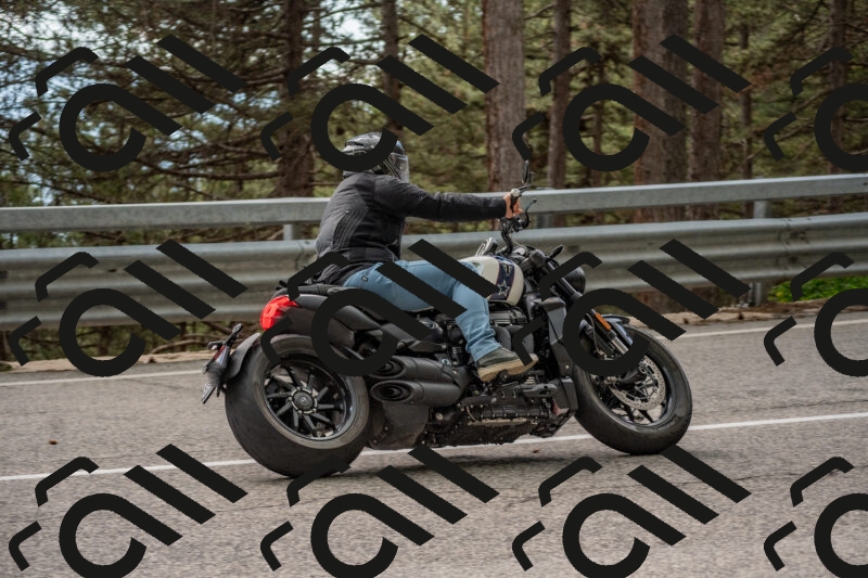 202506011528-DSC_6733_c4_