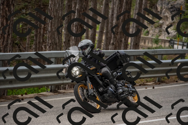 202506011529-DSC_6734_c4_