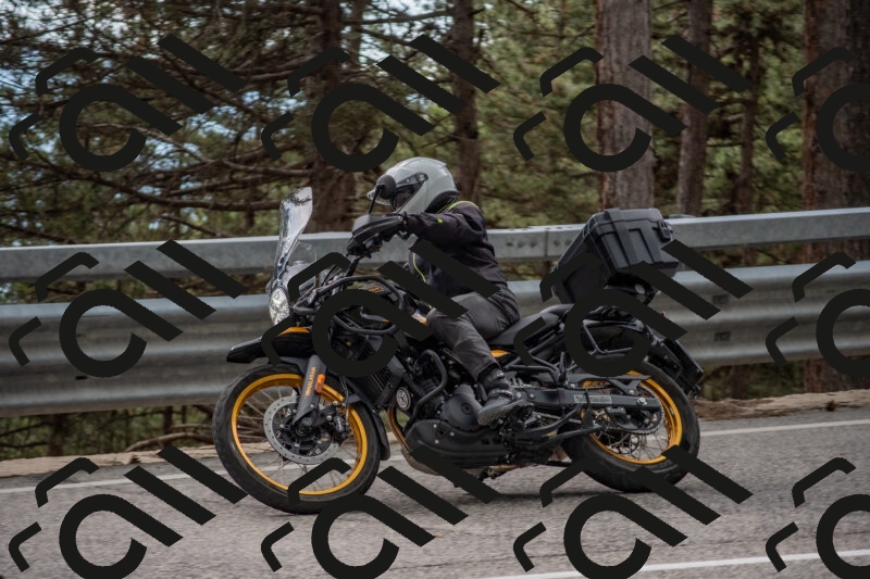 202506011529-DSC_6735_c4_