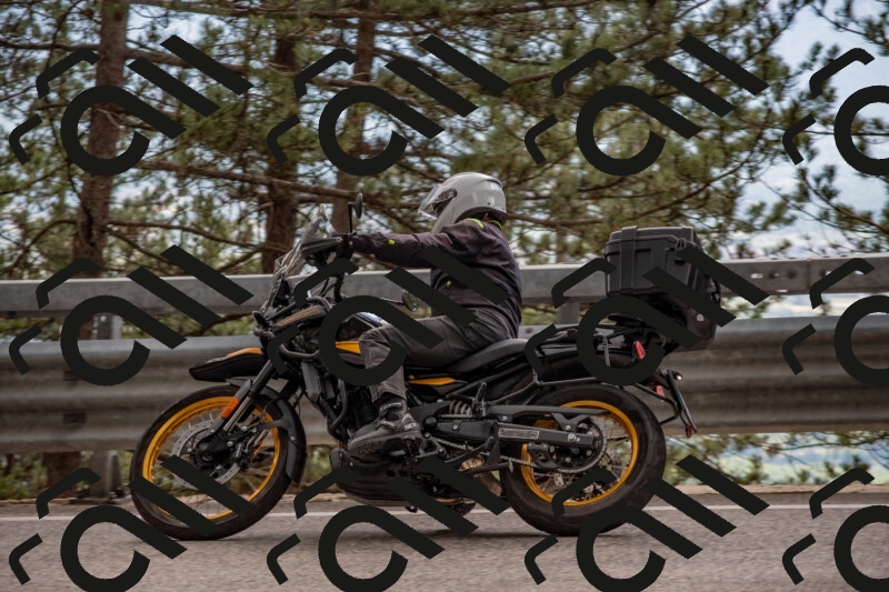 202506011529-DSC_6736_c4_