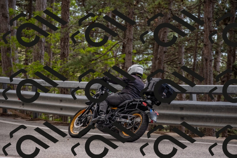 202506011529-DSC_6737_c4_