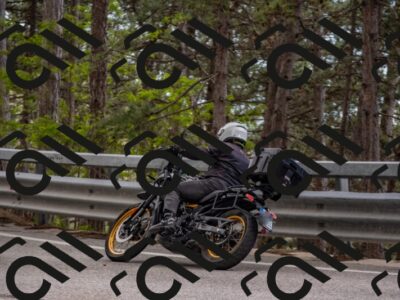 202506011529-DSC_6737_c4_