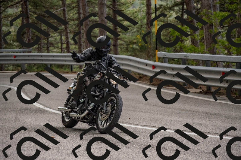 202506011529-DSC_6738_c4_