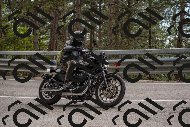 202506011529-DSC_6739_c4_