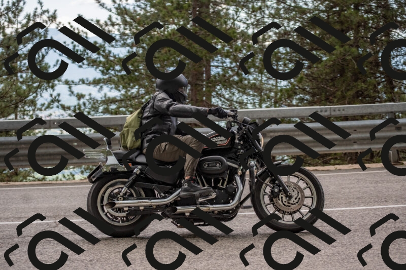 202506011529-DSC_6740_c4_