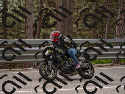 202506011531-DSC_6758_c4_