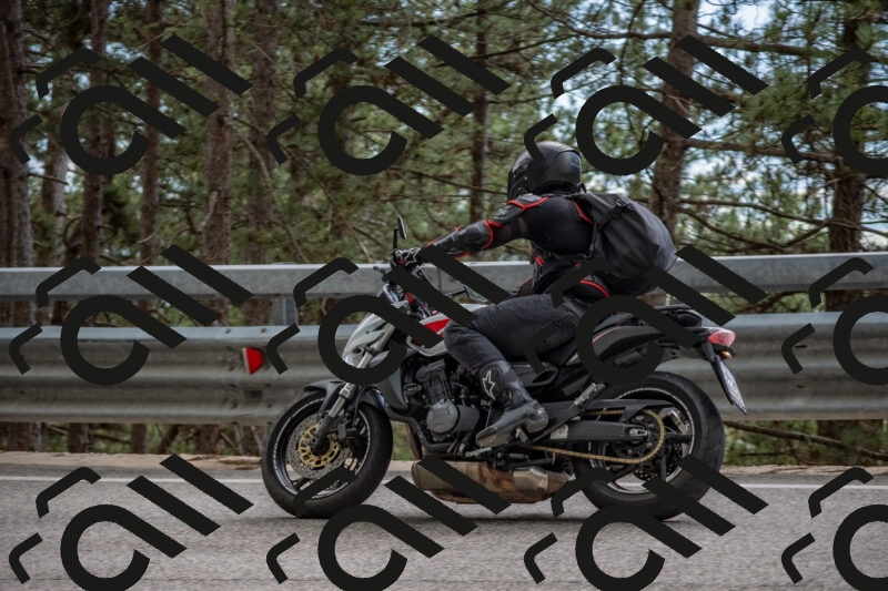 202506011532-DSC_6768_c4_