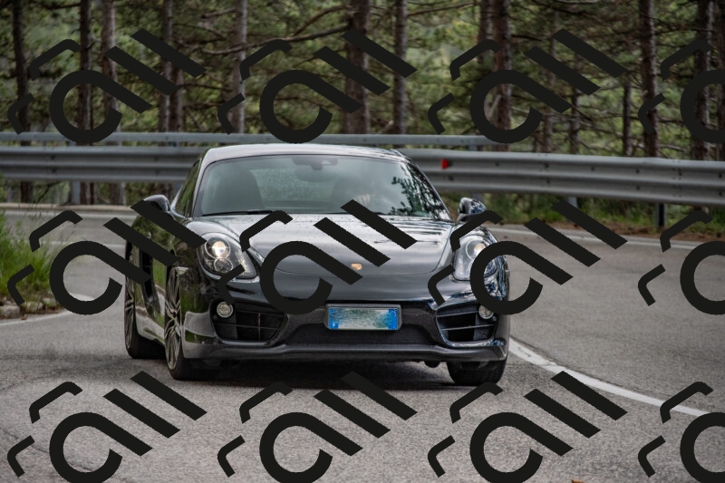 202506011533-DSC_6769_c4_