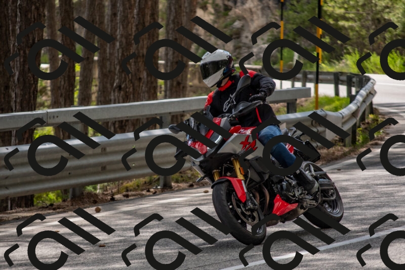 202506011536-DSC_6778_c4_