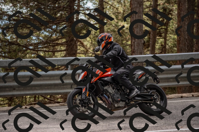 202506011536-DSC_6783_c4_