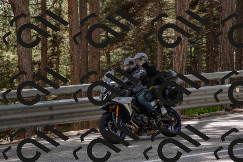 202506011538-DSC_6806_c4_