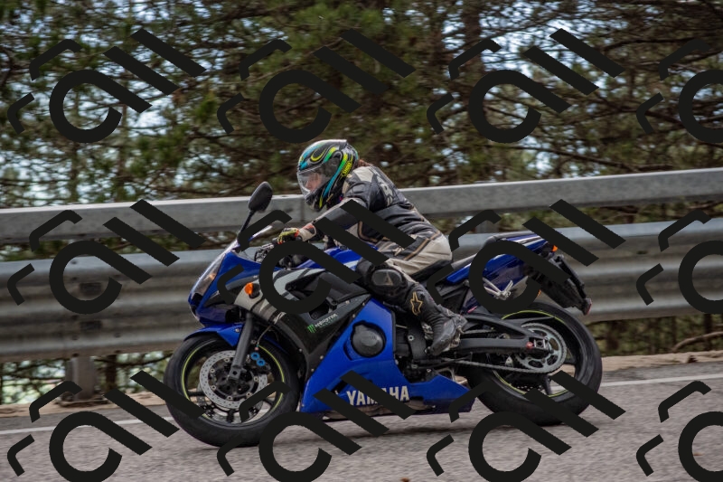 202506011547-DSC_6864_c4_