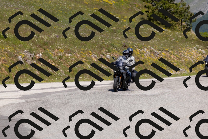 202506011101-_04A8237_c3_