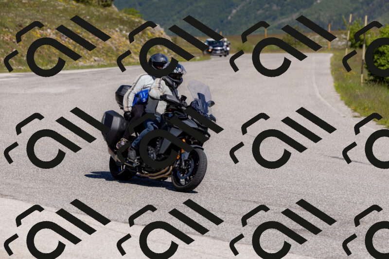 202506011101-_04A8239_c3_