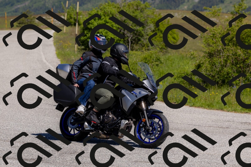 202506011101-_04A8242_c3_