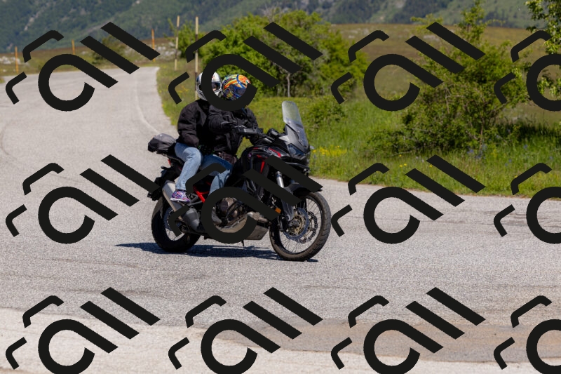 202506011102-_04A8263_c3_