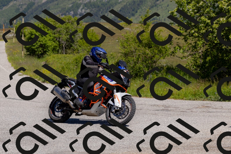 202506011103-_04A8288_c3_