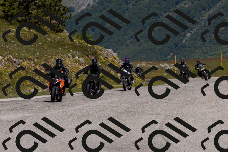 202506011105-_04A8310_c3_