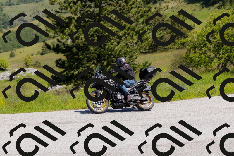 202506011126-_04A8478_c3_