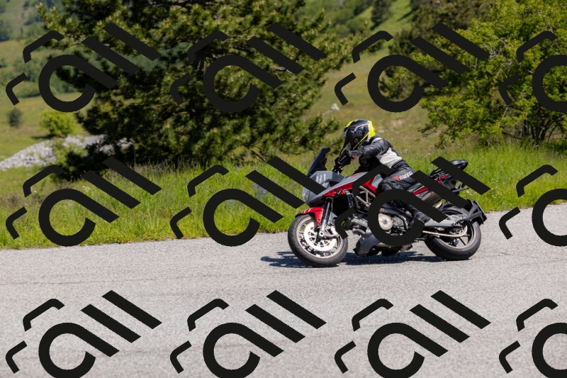 202506011127-_04A8487_c3_