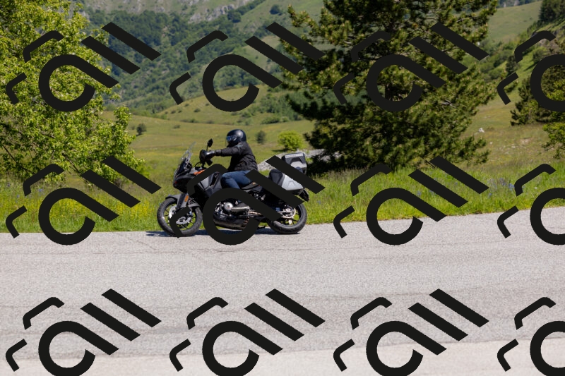 202506011127-_04A8504_c3_