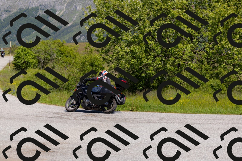 202506011127-_04A8508_c3_