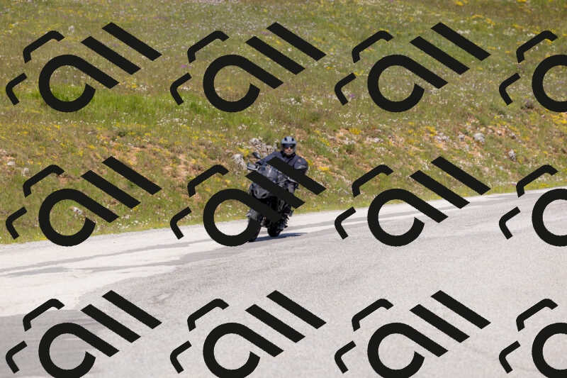 202506011128-_04A8518_c3_