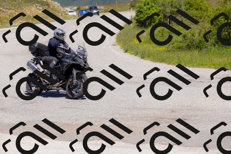 202506011128-_04A8519_c3_