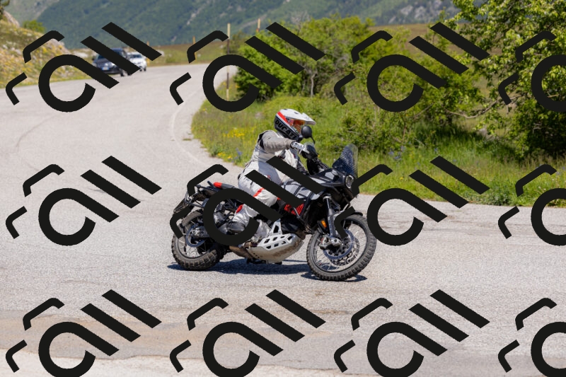 202506011128-_04A8521_c3_