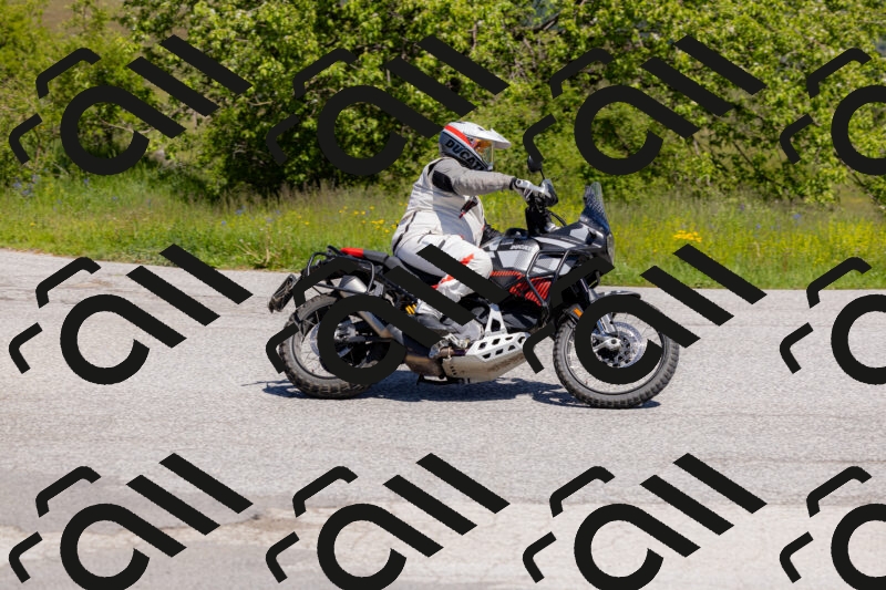 202506011128-_04A8522_c3_