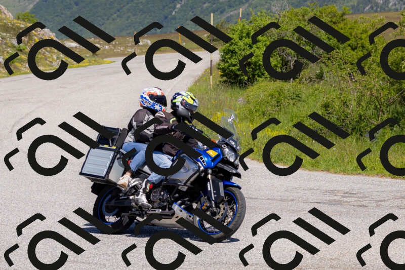 202506011128-_04A8531_c3_