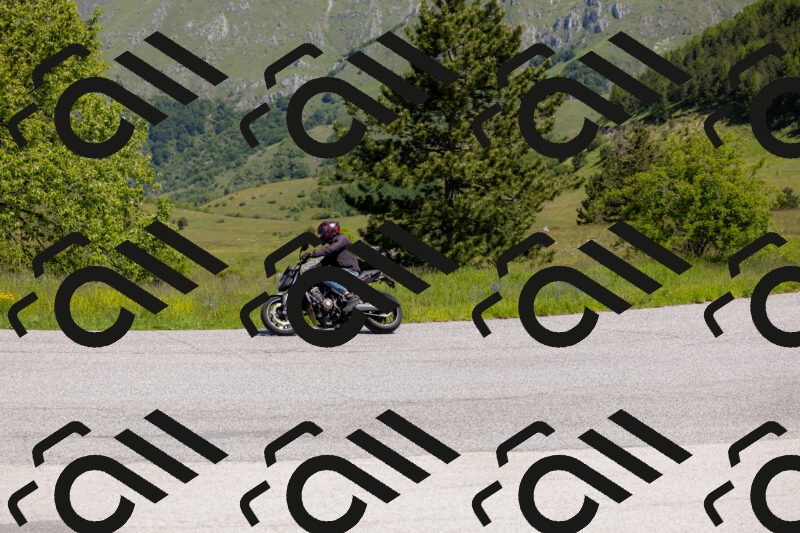 202506011129-_04A8563_c3_