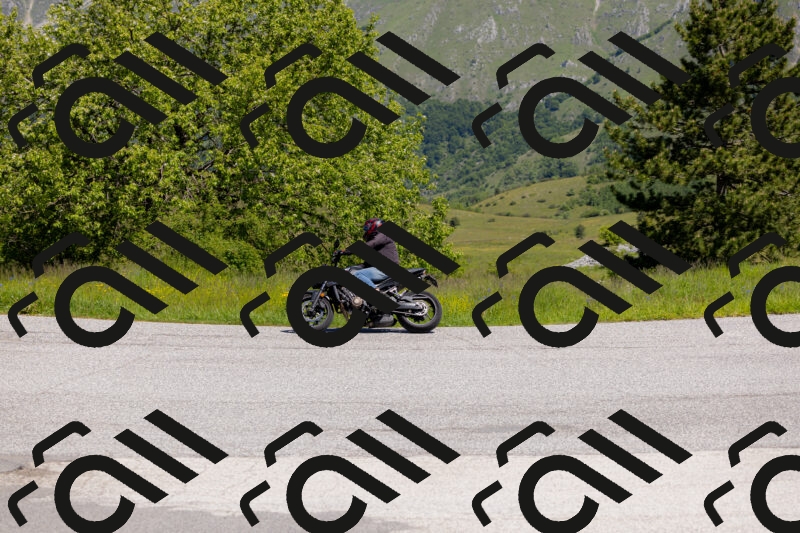 202506011129-_04A8564_c3_