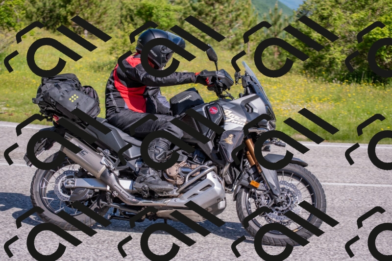 202506020948-DSC_6884_c4_