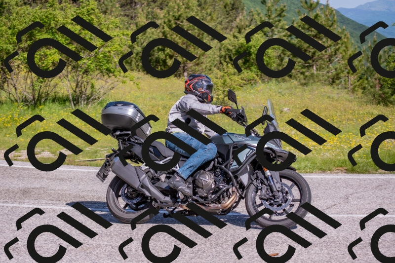 202506020949-DSC_6890_c4_