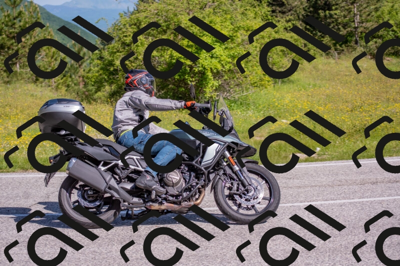 202506020949-DSC_6891_c4_