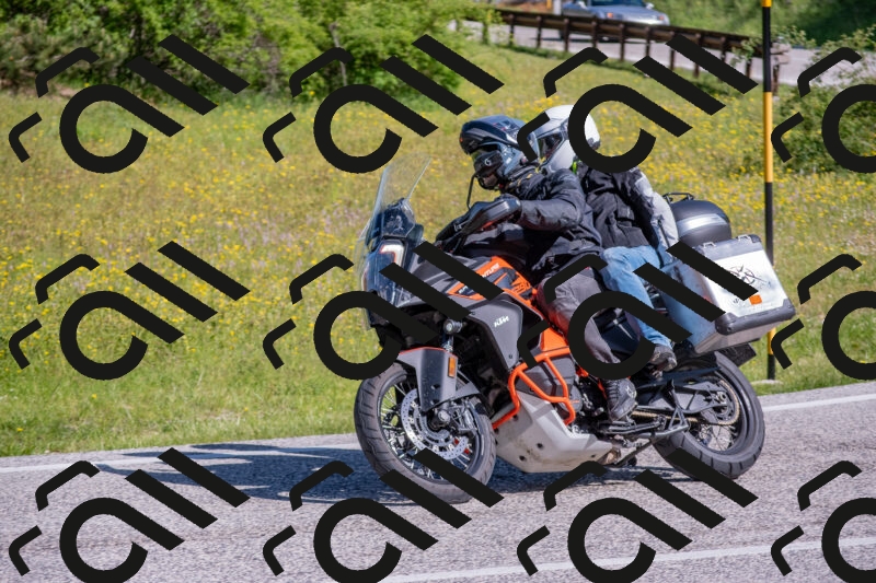 202506020949-DSC_6896_c4_