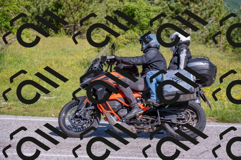 202506020949-DSC_6897_c4_