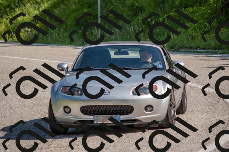 202506020949-DSC_6899_c4_