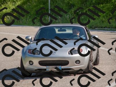 202506020949-DSC_6899_c4_