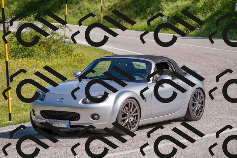 202506020949-DSC_6900_c4_