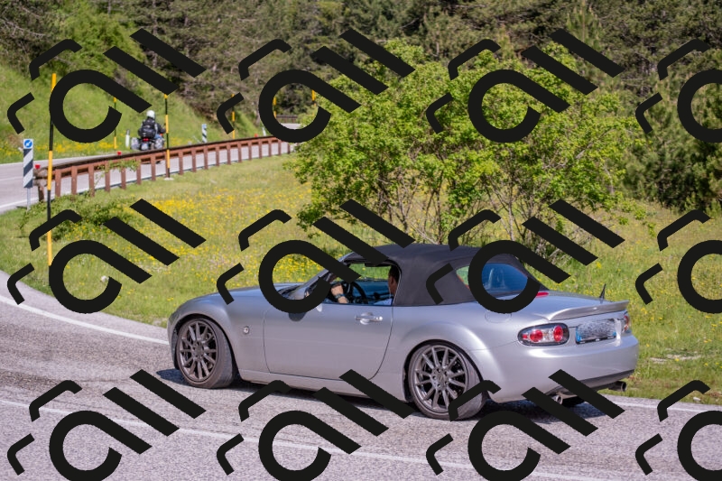 202506020949-DSC_6901_c4_