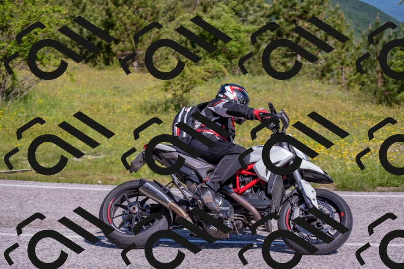 202506020951-DSC_6910_c4_