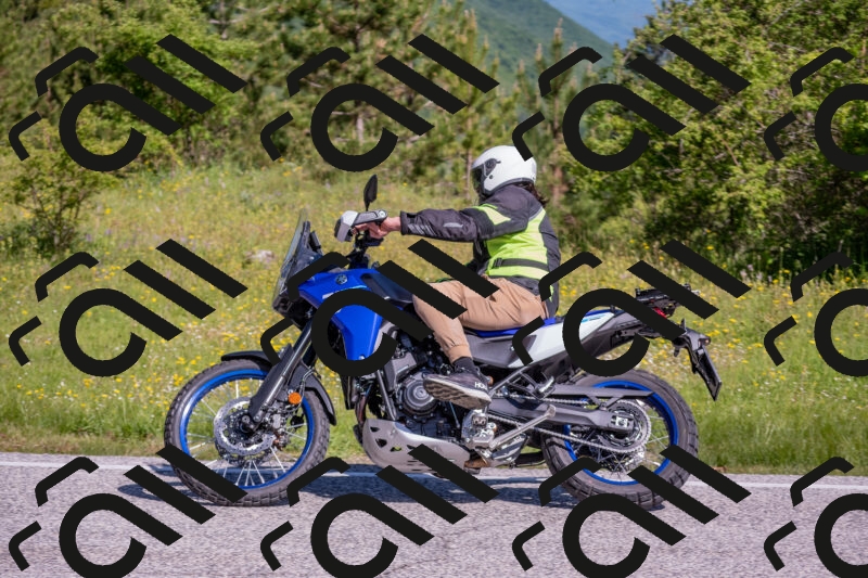 202506020951-DSC_6914_c4_