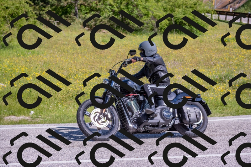 202506020951-DSC_6916_c4_