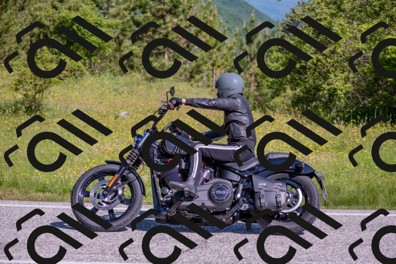 202506020951-DSC_6917_c4_