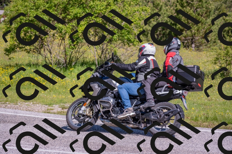 202506020952-DSC_6923_c4_